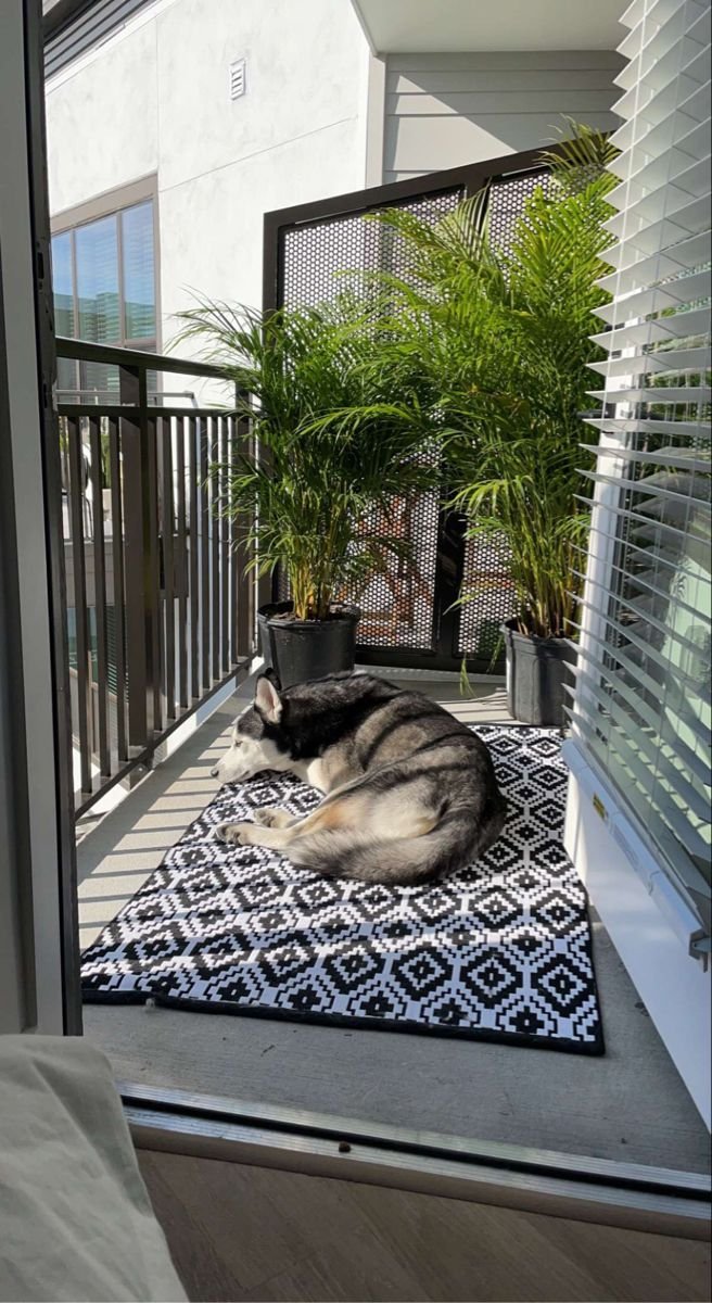 The “Fur Baby” Factor: Finding a Pet-Friendly Foreclosure