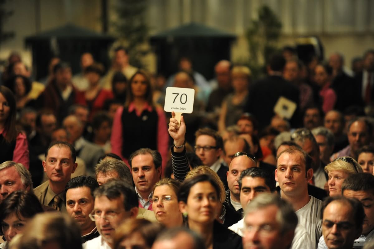 The 25k Ticket: Understanding “Show Money” in Bank Auctions